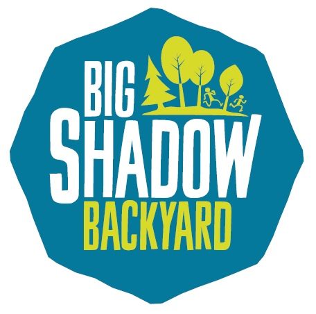 Big Shadow Backyard
